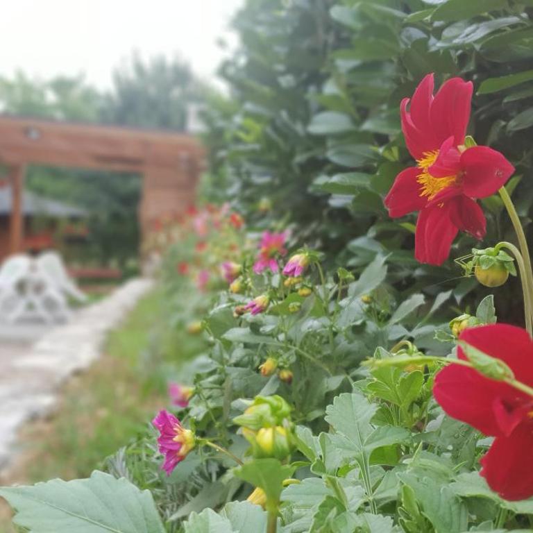 Green Garden Lohovo - Two-Bedroom Townhouse - 43