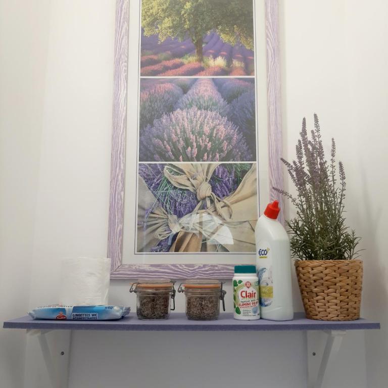 Le Provence - station balnéaire Les Sablettes - Apartment mit 1 Schlafzimmer - 47