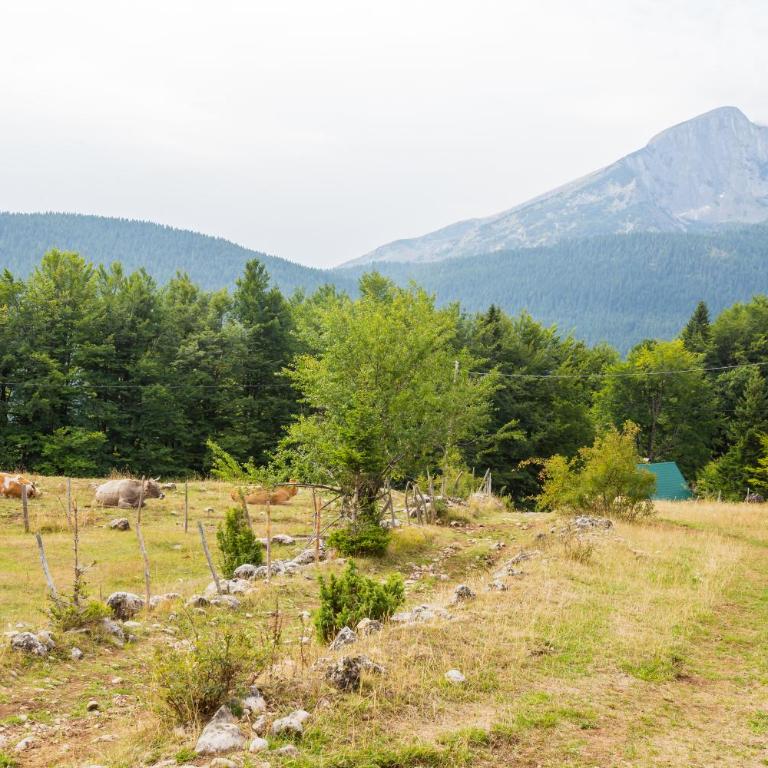 Vista Pitomine - Two-Bedroom Chalet - 43