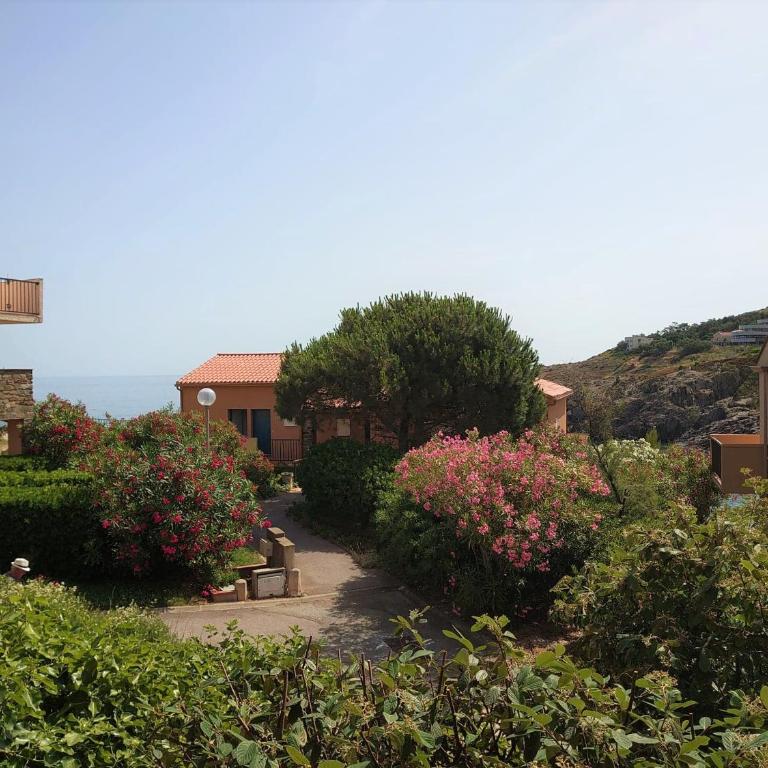 4RB86 Appartement type T2 cabine dans résidence bord de mer à Collioure - Appartamento con Terrazza - 15