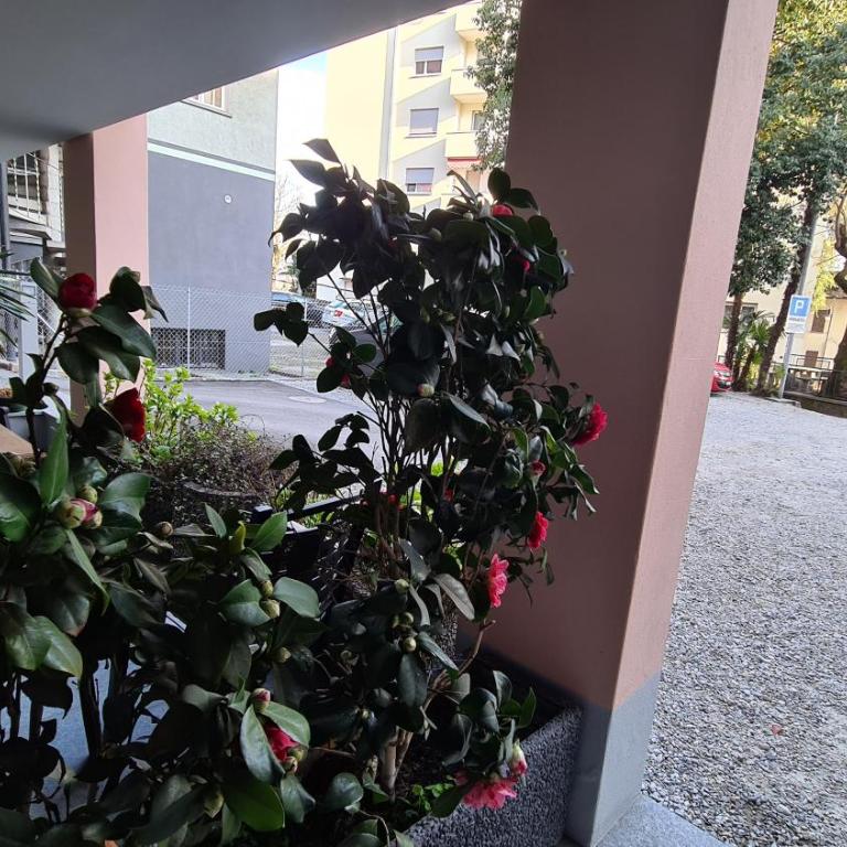 @ Home Hotel Locarno - Suite Matrimoniale Standard - 8