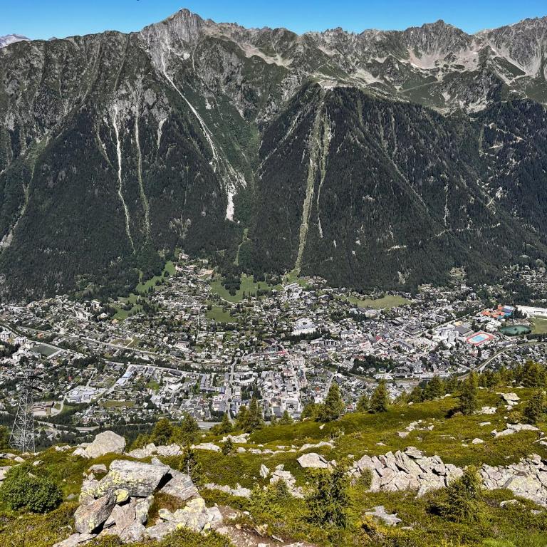Le Nid de l'Aiguille - Au pied de l'Aiguille du midi - Appartement 1 Chambre - 31