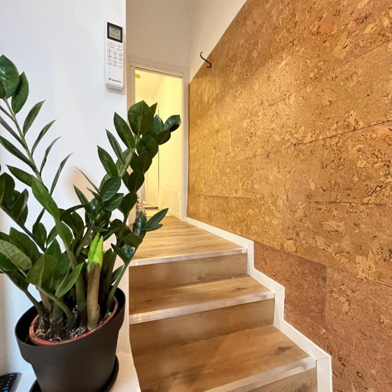 Ile Aina Malasaña Temporal - Two-Bedroom Apartment - 31