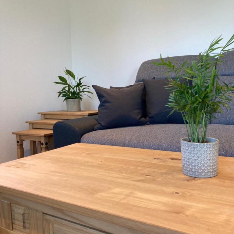 Heissgut - Two-Bedroom Apartment - 10