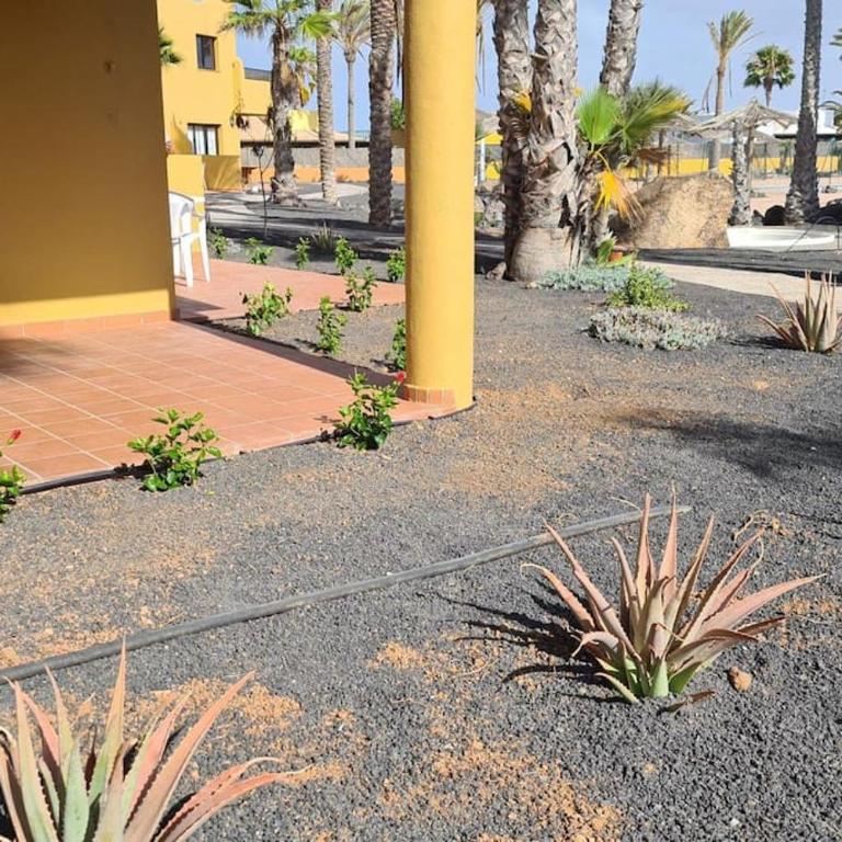 Beautiful garden flat nearly refurbished free WiFi - Apartamento de 1 dormitorio - 8