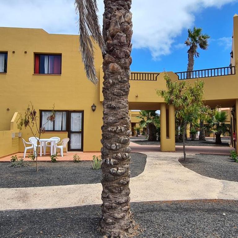 Beautiful garden flat nearly refurbished free WiFi - Apartamento de 1 dormitorio - 10