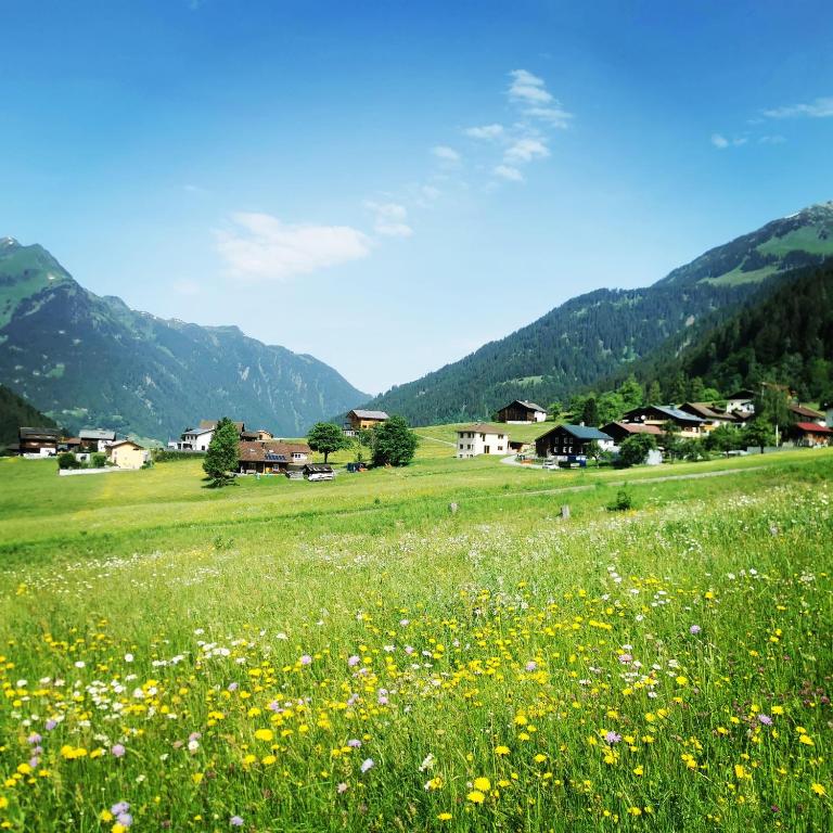 Cascada Montafon - Apartment mit 1 Schlafzimmer und Dusche - 17