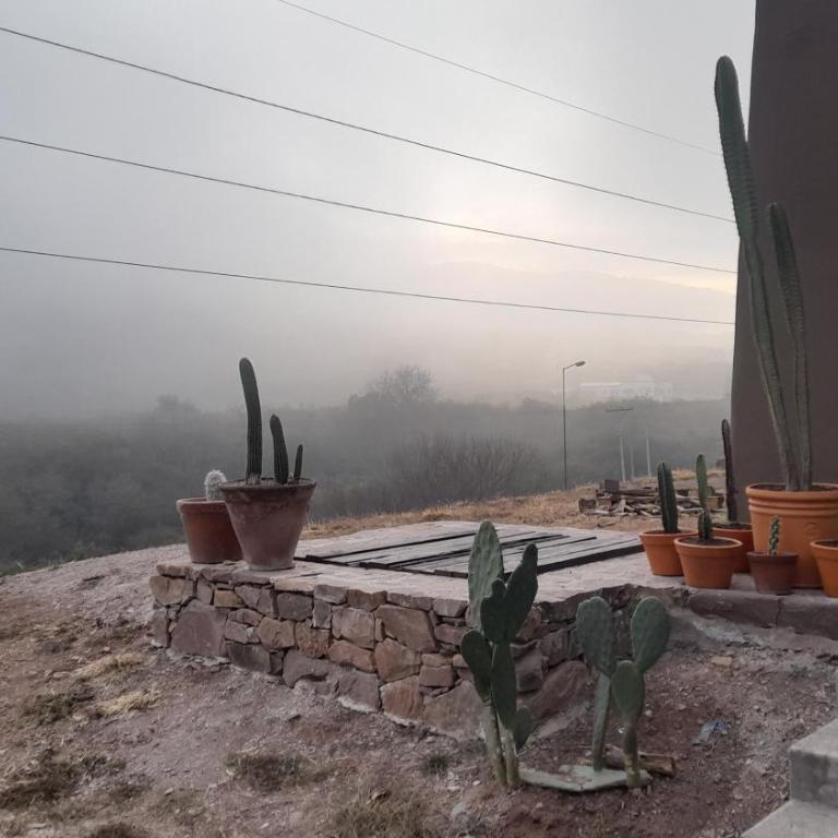 Departamento en la naturaleza - Apartamento de 1 dormitorio - 27