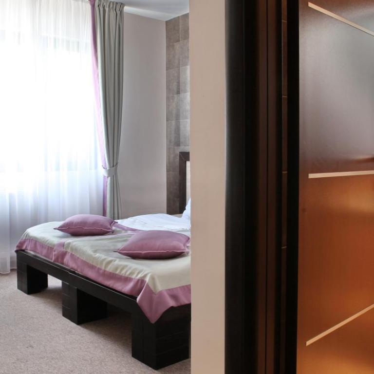 Garni Hotel Vozarev - Dvokrevetna Soba s Bračnim Krevetom/2 Zasebna Kreveta i Parkingom - 10