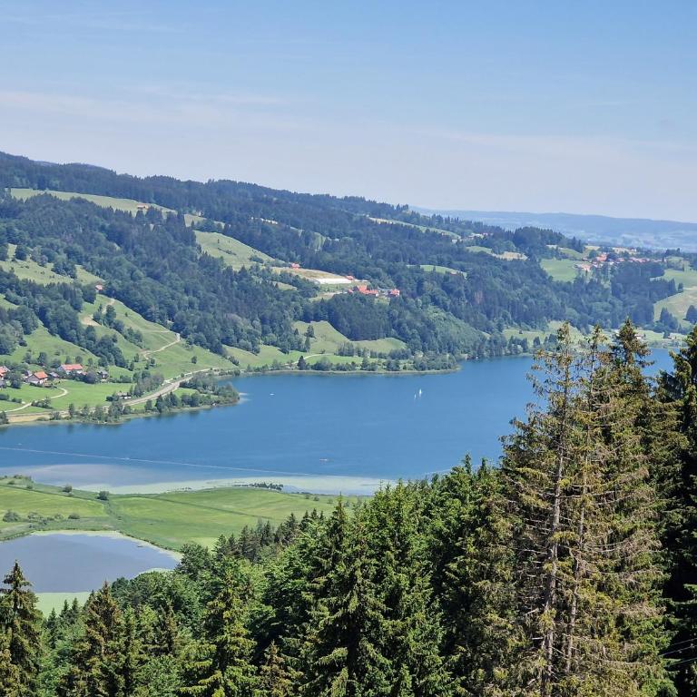 Allgäuer Ausblick - One-Bedroom Apartment - 83