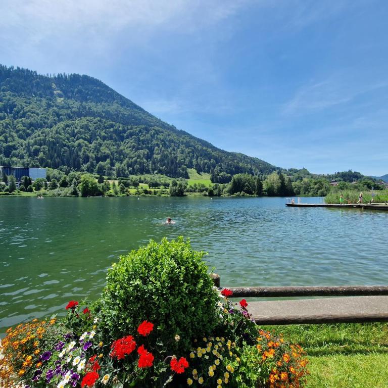 Allgäuer Ausblick - One-Bedroom Apartment - 34