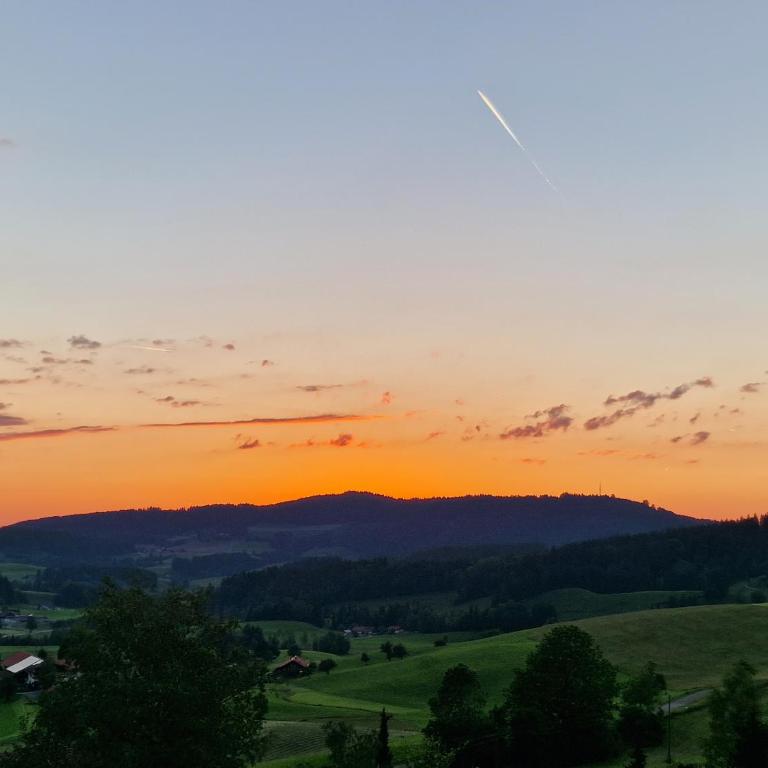 Allgäuer Ausblick - One-Bedroom Apartment - 5