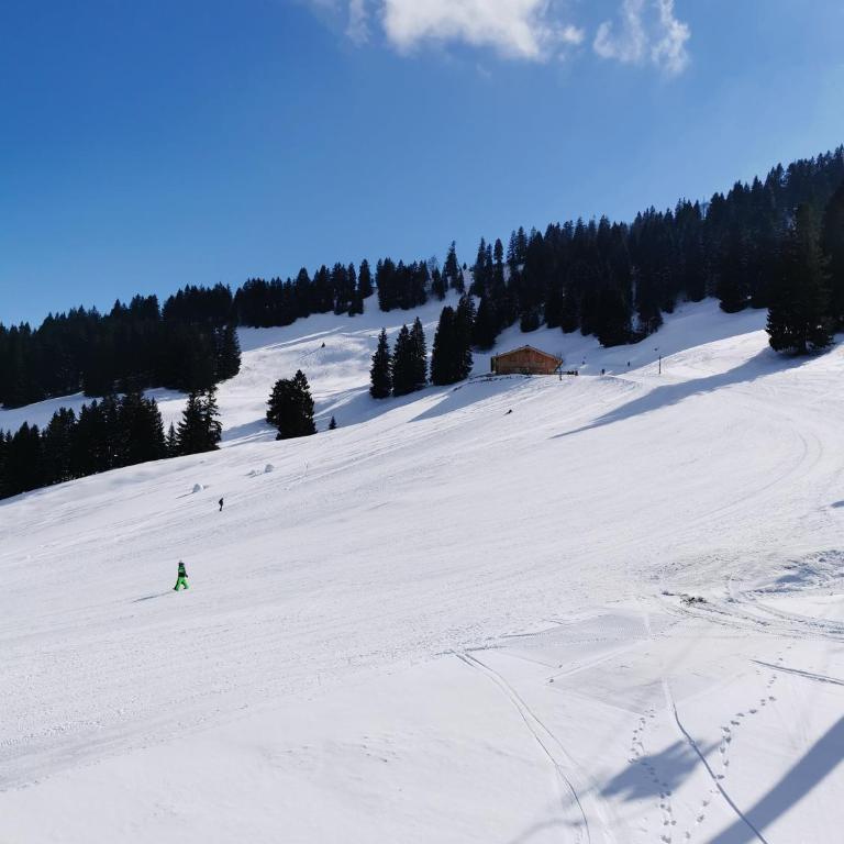 Allgäuer Ausblick - One-Bedroom Apartment - 70