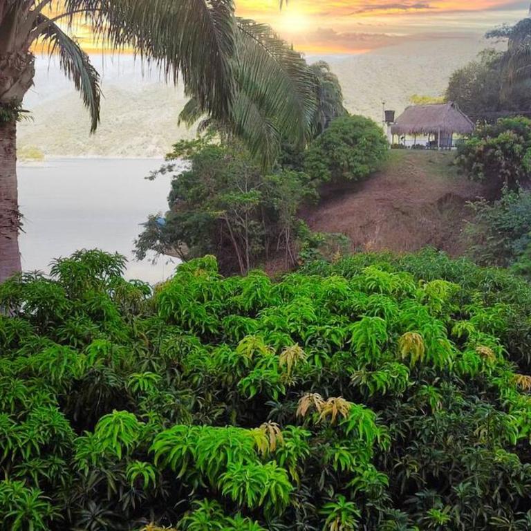 Fincasa del Mar-La Casa del Arbol - Casa de 2 dormitorios - 30