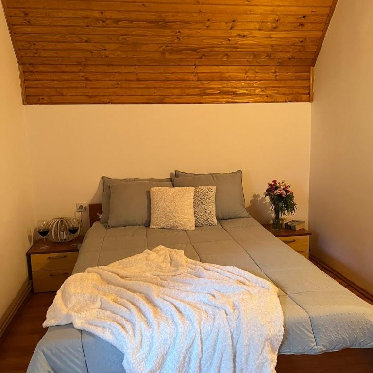 Blackberry house Žabljak - Two-Bedroom House - 25