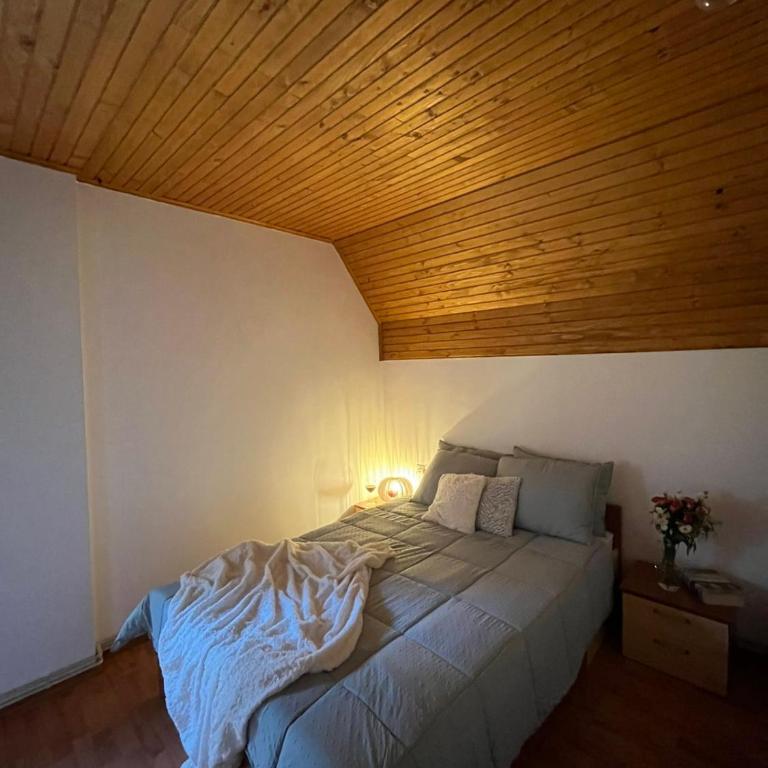 Blackberry house Žabljak - Two-Bedroom House - 22