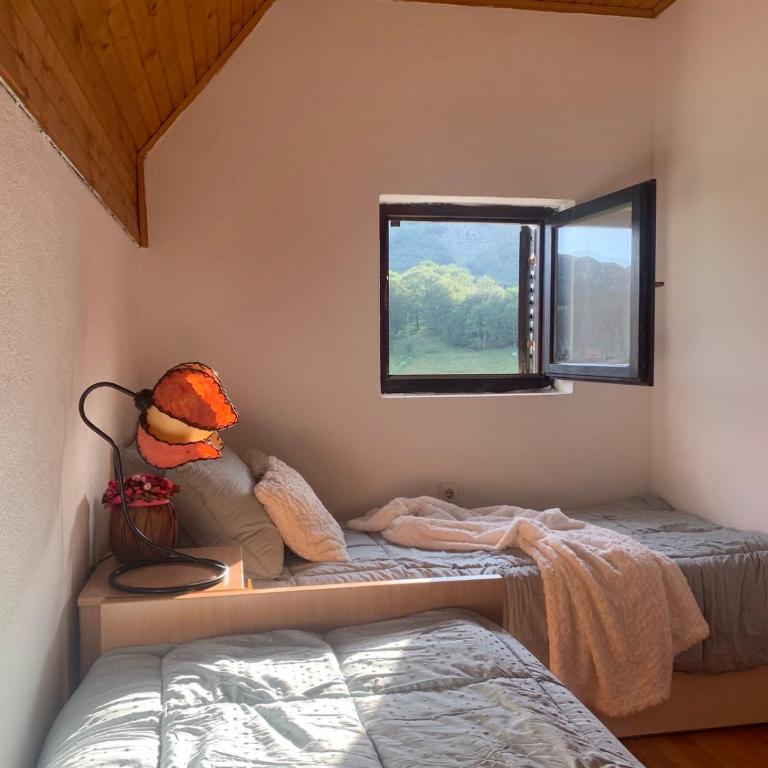 Blackberry house Žabljak - Two-Bedroom House - 18