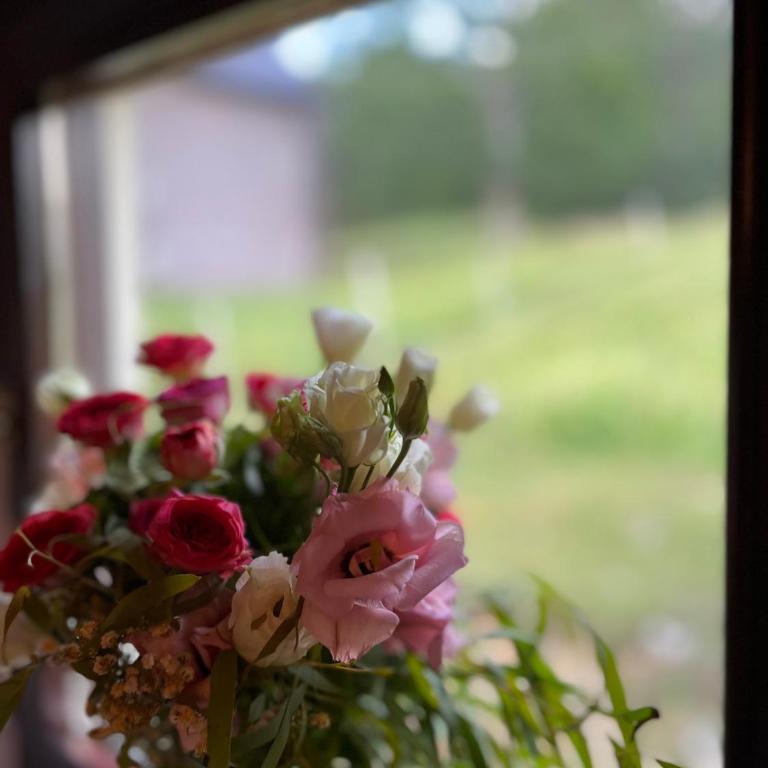 Blackberry house Žabljak - Two-Bedroom House - 26