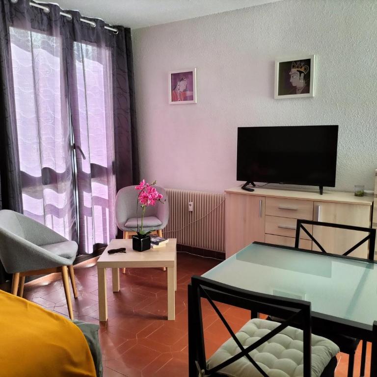 Studio Gréoux les Bains - Apartamento de 1 dormitorio - 2