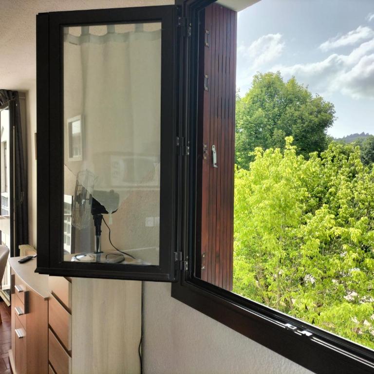 Studio Gréoux les Bains - Apartamento de 1 dormitorio - 3