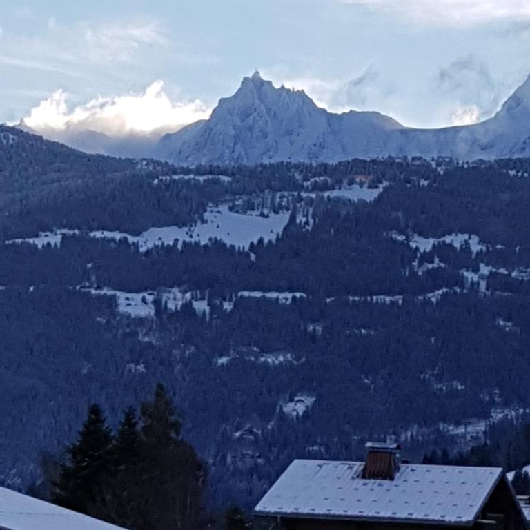 Appartement - Combloux - One-Bedroom Apartment - 21