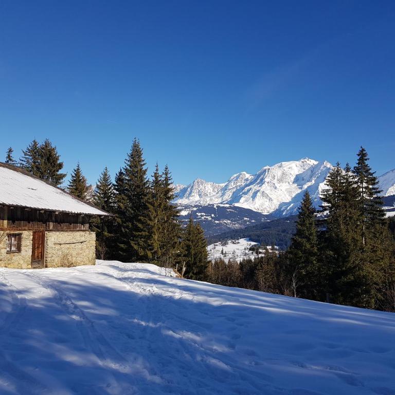 Appartement - Combloux - One-Bedroom Apartment - 22
