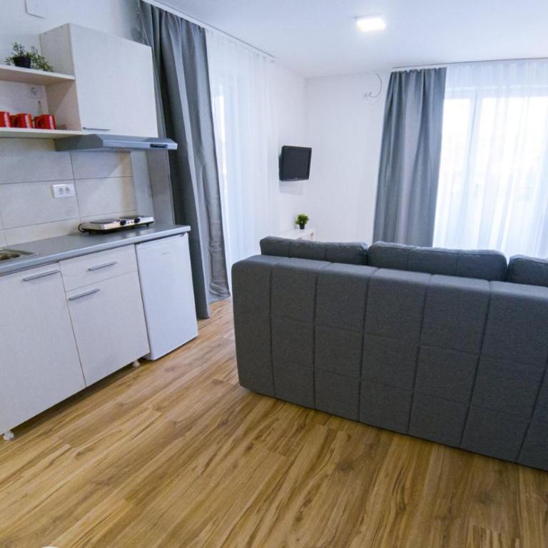 Milutinn-Visterija - Apartman sa 1 Spavaćom Sobom - 4