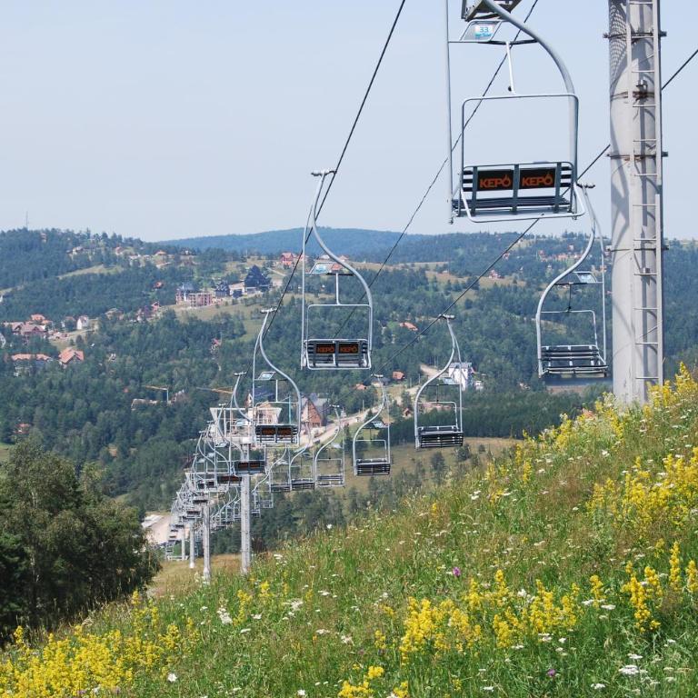 Apartman Oblačak Divčibare - Apartman sa 1 Spavaćom Sobom - 13
