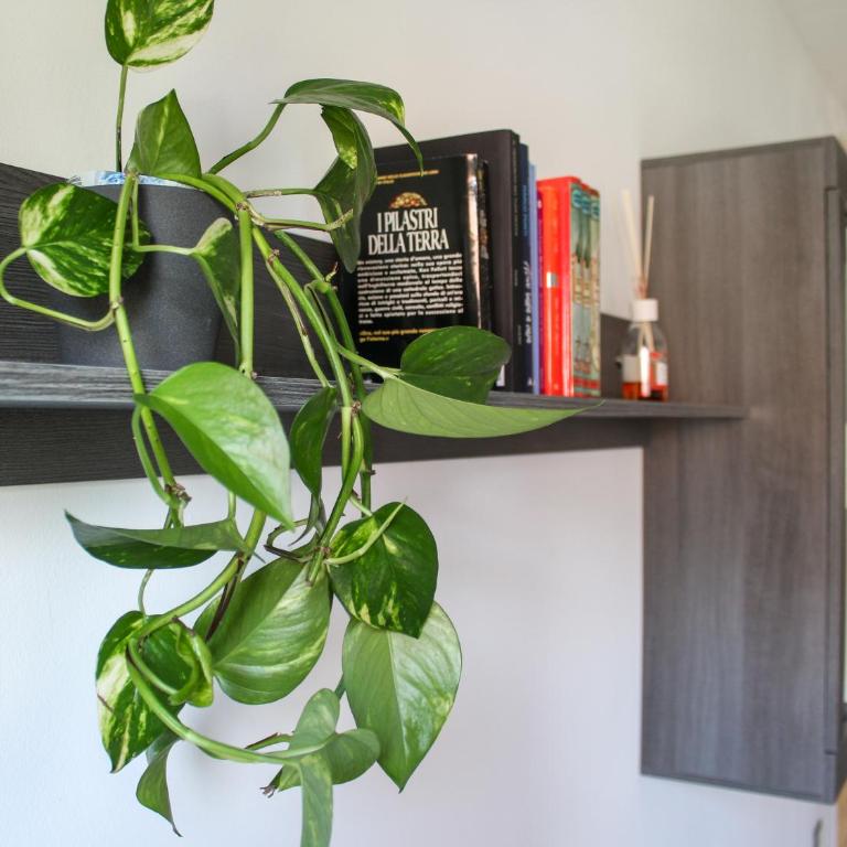 Casa Felicità - Appartamento con 3 Camere da Letto - 12
