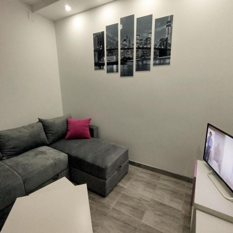 Smestaj Stanisavljevic - One-Bedroom Apartment - 5