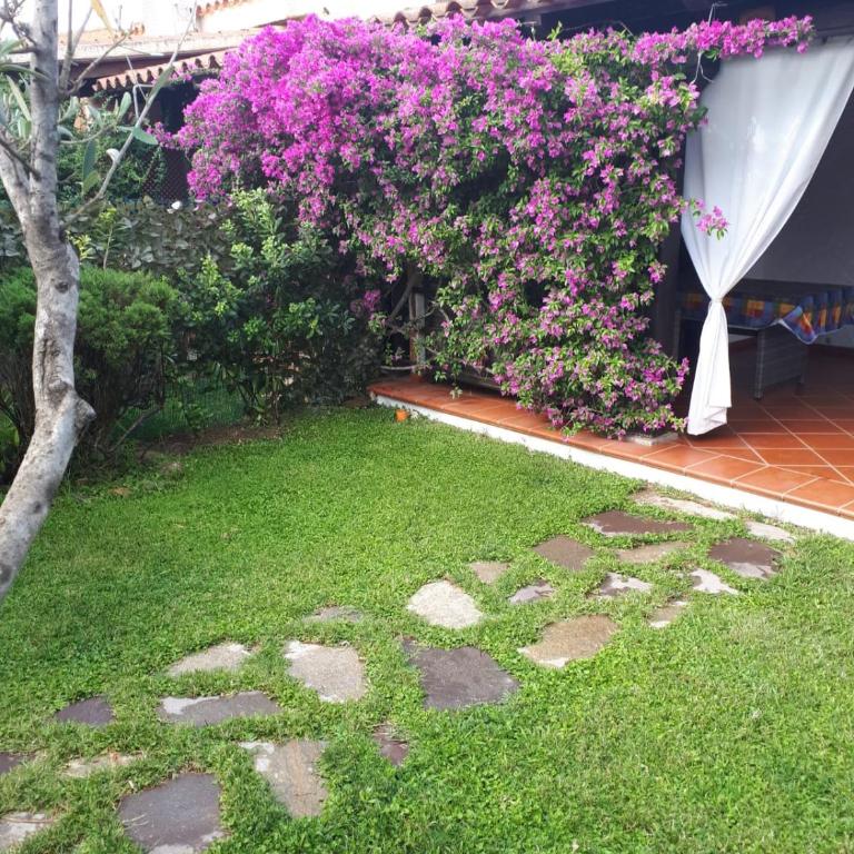 Villetta Bouganville - Casa Vacanze - 4