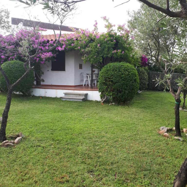 Villetta Bouganville - Casa Vacanze - 2