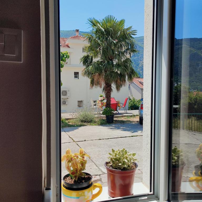 Apartments Željka-Dobrota - Studio with Garden View - 13