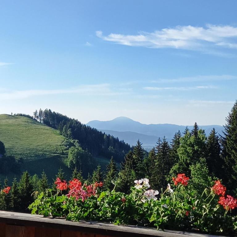 Almchalet Schuster - Chalet con 2 Camere da Letto - 4