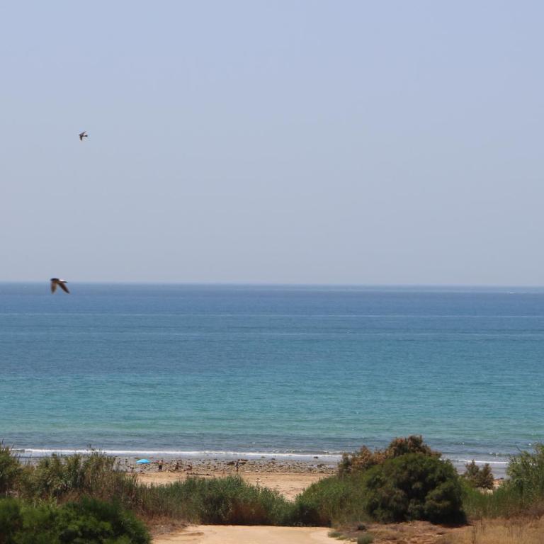 LA FINESTRA SUL MARE - Appartamento con 1 Camera da Letto - 9