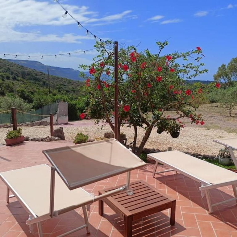Villa Ciù Pino - One-Bedroom Villa - 20