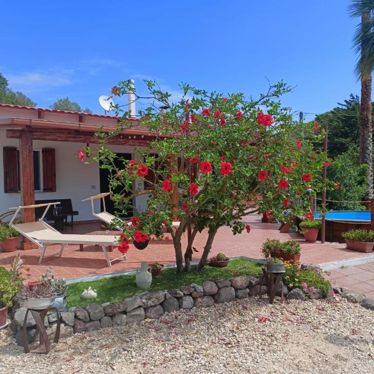 Villa Ciù Pino - One-Bedroom Villa - 1