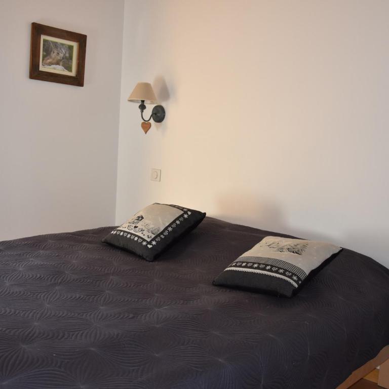 Chalet chaleureux récent 10 pers près pistes - FR-1-464-168 - Chalet 3 Chambres - 4