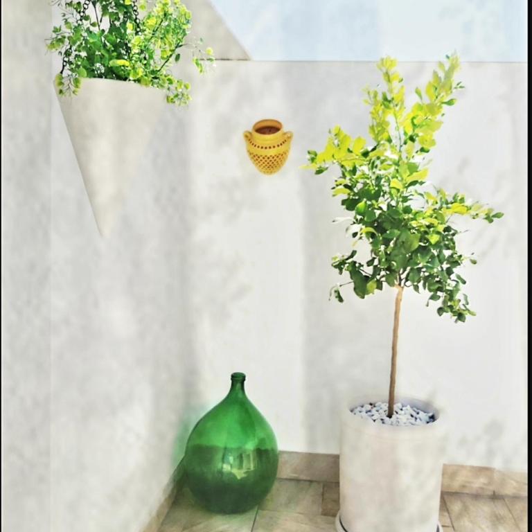 Dimora Asmara 11 15 - Appartamento con Terrazza - 37