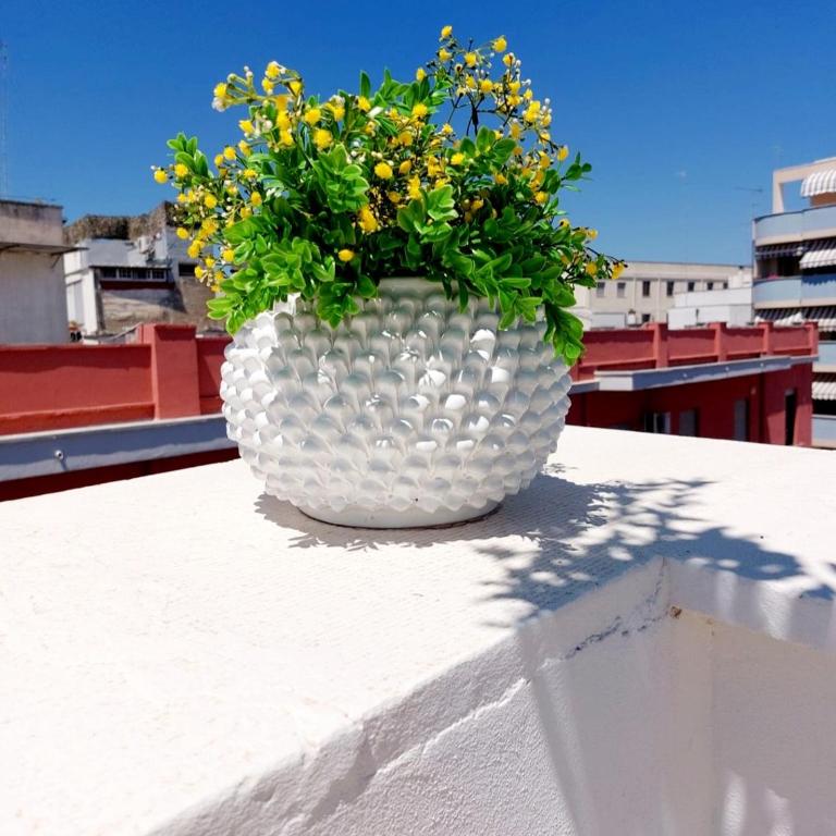 Dimora Asmara 11 15 - Appartamento con Terrazza - 39