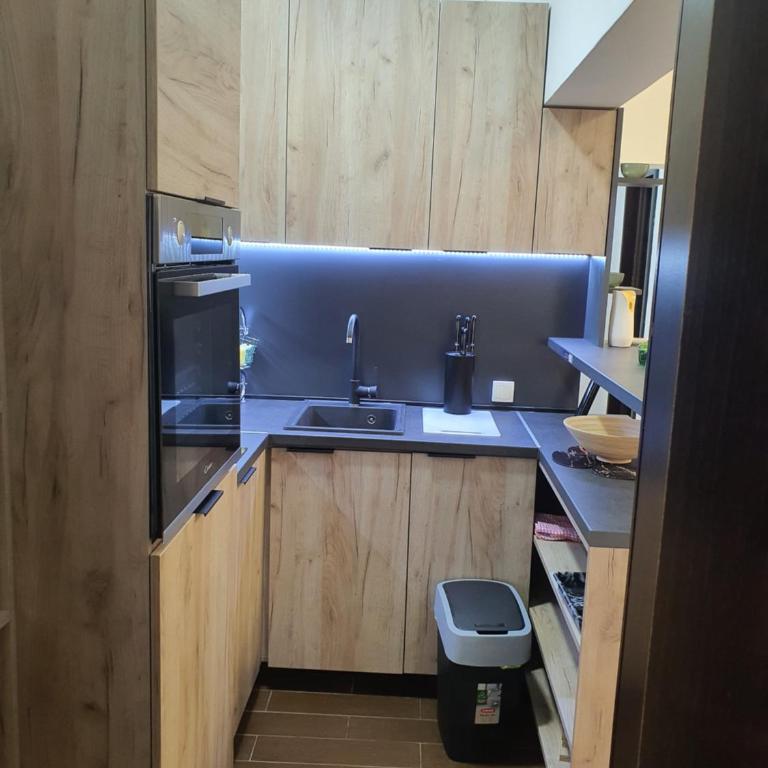 Darin - One-Bedroom Apartment - 8