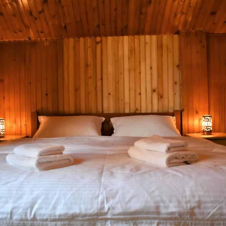 Srna Chalet - Chalet - 4