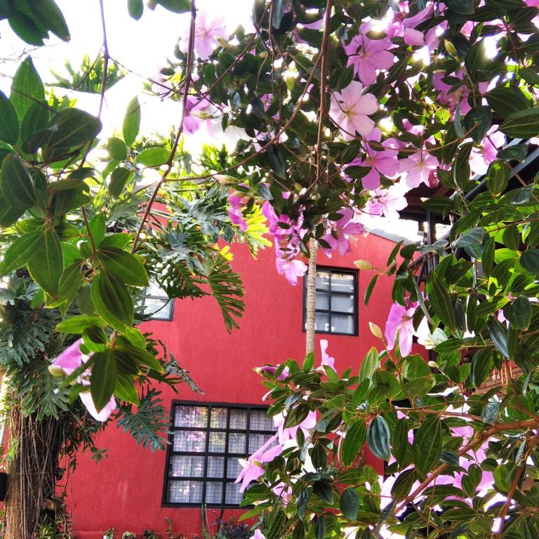 Casita de madera - Apartamento de 1 dormitorio - 13