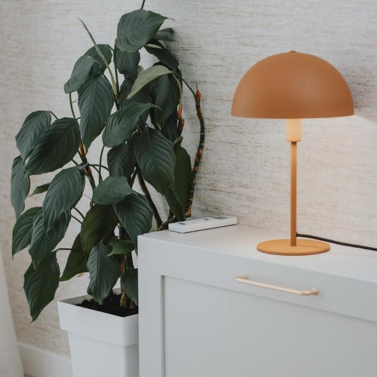 Apartments Radovic - One-Bedroom Apartment - 3