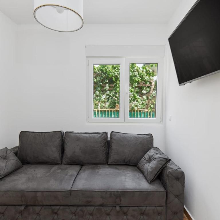 Petrovic apartmani - Apartman sa 3 Spavaće Sobe - 14