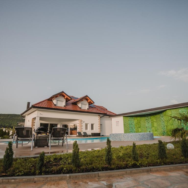 Grand villa Bosnae - Villa - 53