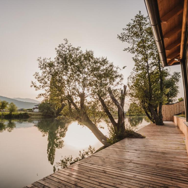 Grand villa Bosnae - Villa - 9