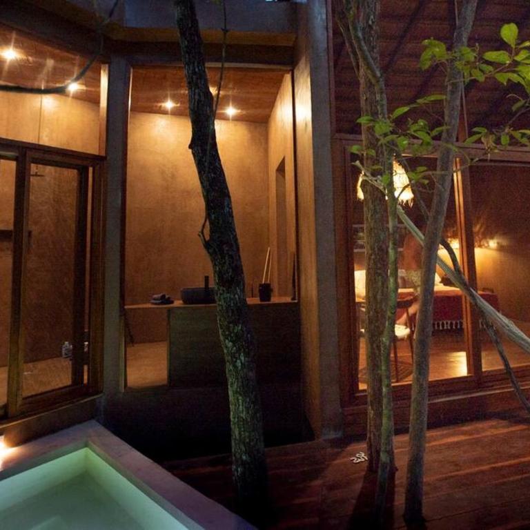 OJO DE ÁRBOL, boutique cabin in the real jungle - Villa de 1 dormitorio - 11