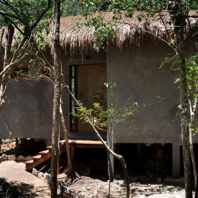 OJO DE ÁRBOL, boutique cabin in the real jungle - Villa de 1 dormitorio - 22