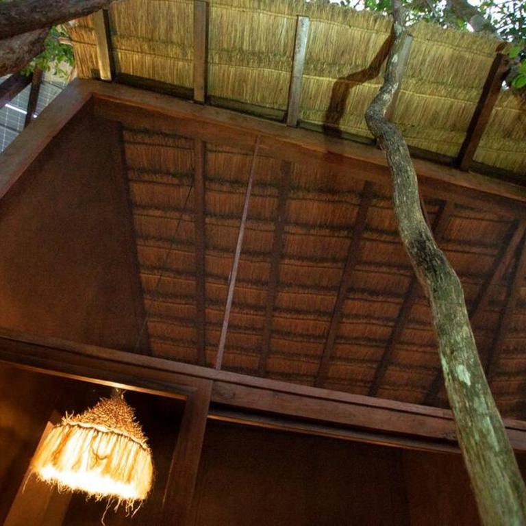 OJO DE ÁRBOL, boutique cabin in the real jungle - Villa de 1 dormitorio - 31